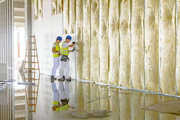 Best Geographic-Specific Insulation Services in East Alton, IL